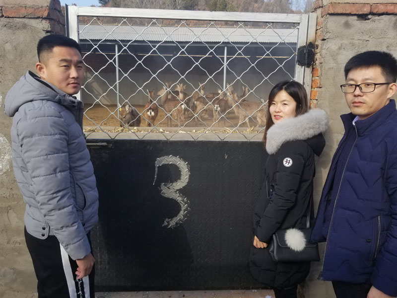 工作隊(duì)的三個(gè)年輕人1