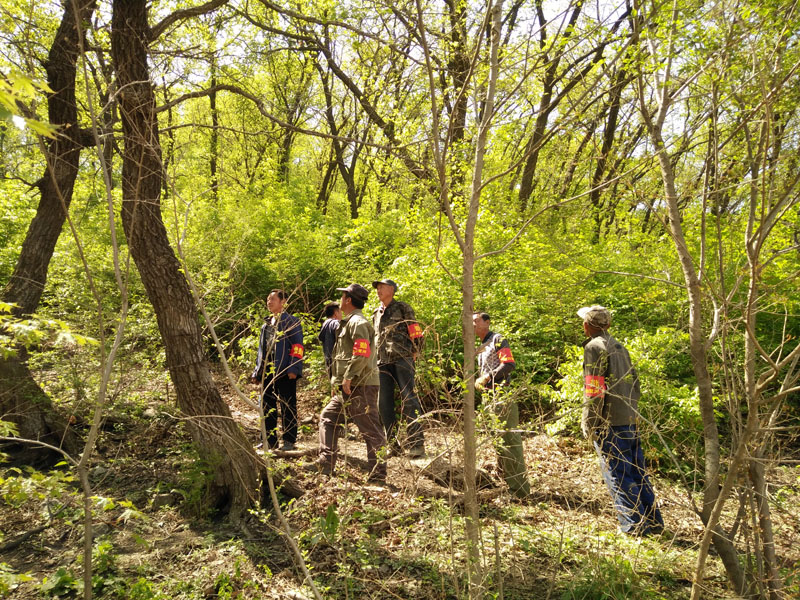 護(hù)鳥(niǎo)隊(duì)巡邏