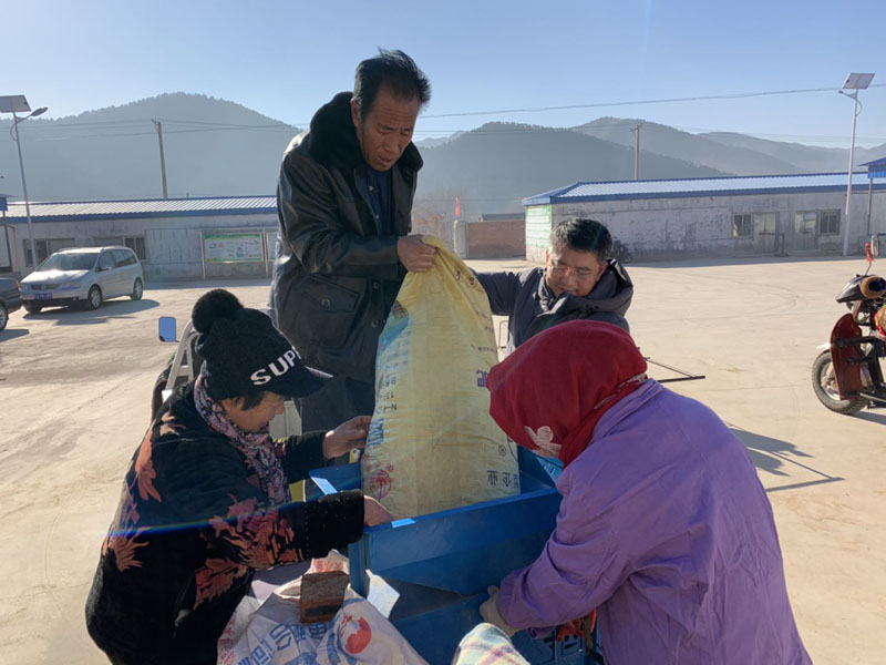 收購現(xiàn)場，王強（右二）幫助村民抬小米