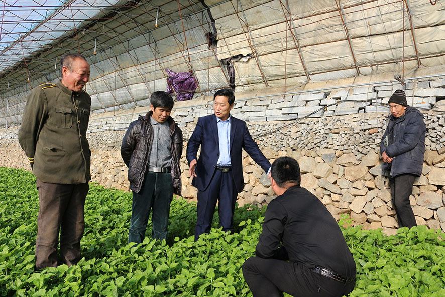 文需雁將矛盾化解在田間地頭