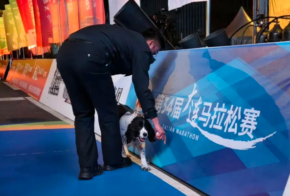 聯(lián)想截圖_20241023101117